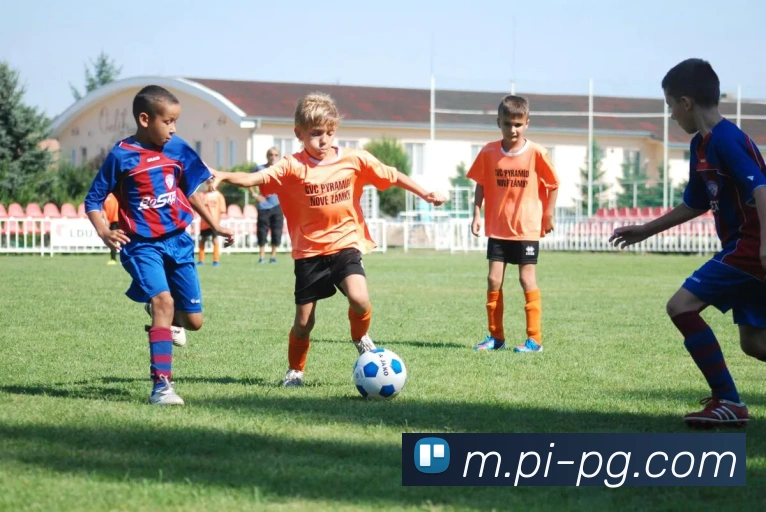 辅助工具 辅助工具